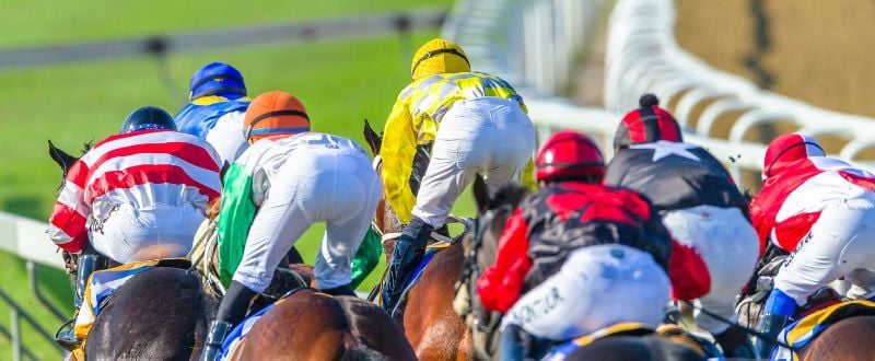 Winners Hall of Fame - February 2026