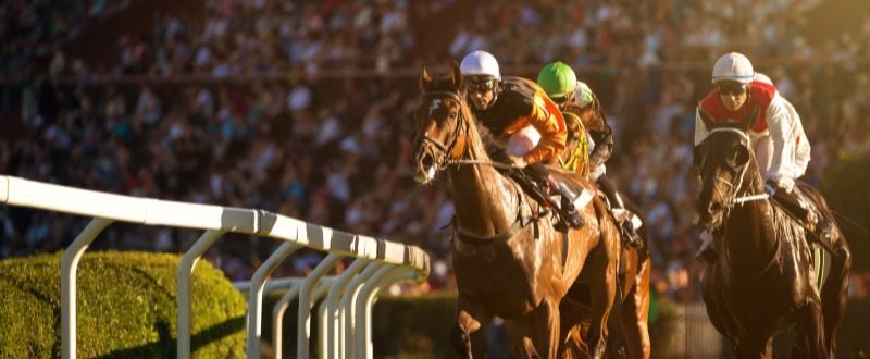 Hall of Fame Winners - January 2026